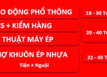 TUYỂN TỔNG HỢP